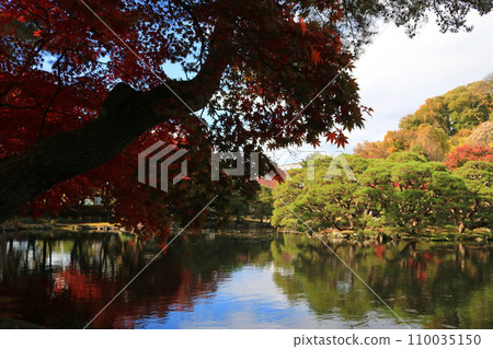 秋天的前南埠貝蒂花園 秋天的前南埠貝蒂花園 110035150