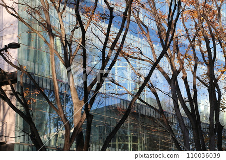 Sendai Mediatheque, a complex that provides a variety of information 110036039