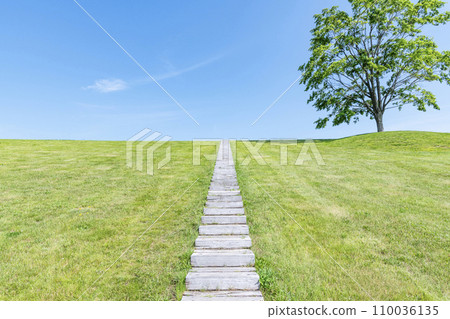通往藍天和鬱鬱蔥蔥的草坪的樓梯 110036135