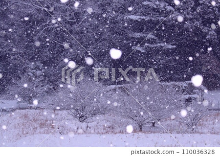 Snow falling day Snow falling day 110036328