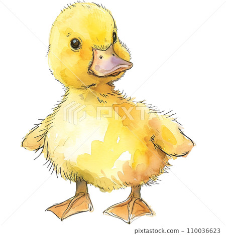 Duck 110036623
