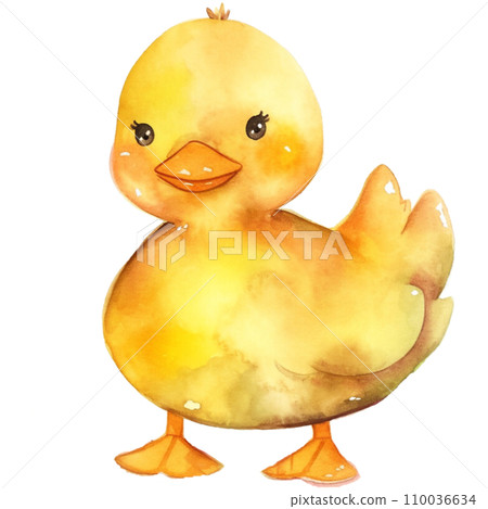 Duck 110036634