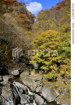 赤城山南側秋葉山谷中遠眺瀧澤不動瀑布 赤城山南側秋葉山谷中遠眺瀧澤不動瀑布 110036733