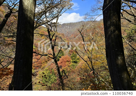 赤城山南側秋葉山谷中遠眺瀧澤不動瀑布 赤城山南側秋葉山谷中遠眺瀧澤不動瀑布 110036740