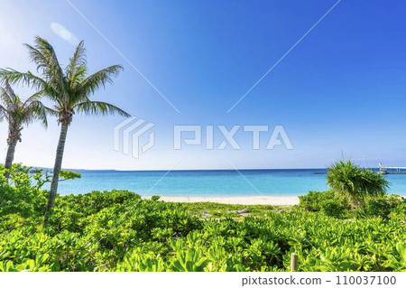 White sand beach and blue sea of Busena Marine Park, Nago City, Okinawa Prefecture White sand beach and blue sea of Busena Marine Park, Nago City, Okinawa Prefecture 110037100