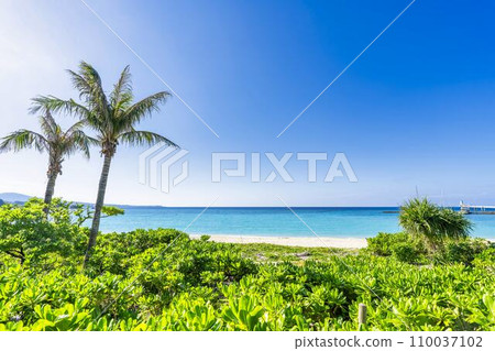 White sand beach and blue sea of Busena Marine Park, Nago City, Okinawa Prefecture 110037102