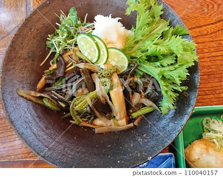 Refreshing soba noodles with wild vegetables and sudachi 110040157