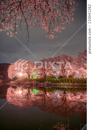 鹿河沼澤的春天 110041262