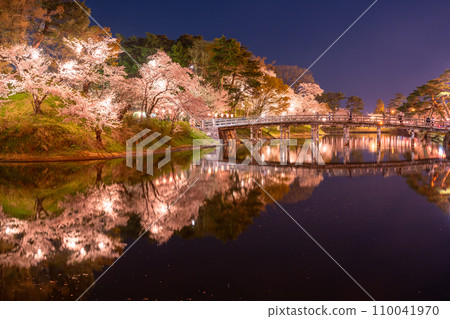 [Niigata Prefecture] Cherry blossoms in full bloom, night view of Takada Castle Ruins Park in spring 110041970