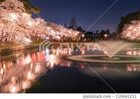 [Niigata Prefecture] Cherry blossoms in full bloom, night view of Takada Castle Ruins Park in spring 110042211
