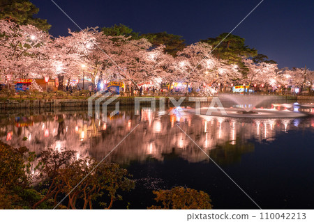 【新潟縣】櫻花盛開，春天的高田城跡公園夜景 110042213