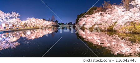 [Niigata Prefecture] Cherry blossoms in full bloom, night view of Takada Castle Ruins Park in spring 110042443