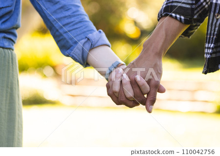 Diverse couple holding hands in sunny garden, copy space 110042756