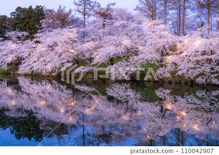 【新潟縣】櫻花盛開,春天的高田城跡公園夜景 【新潟縣】櫻花盛開,春天的高田城跡公園夜景 110042907