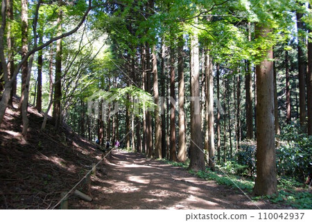 Mt. Takao Route 1 Mt. Takao Route 1 110042937