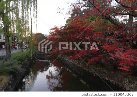 深秋黃昏的倉敷美觀地區：倉敷川沿岸（岡山縣倉敷市） 110043302