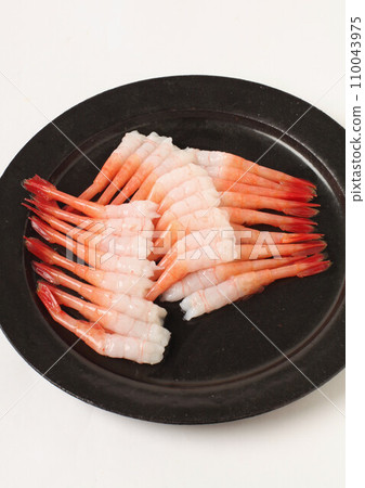 Shrimp Shrimp 110043975