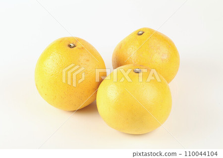 Fumi Tosa Fumi Tosa 110044104