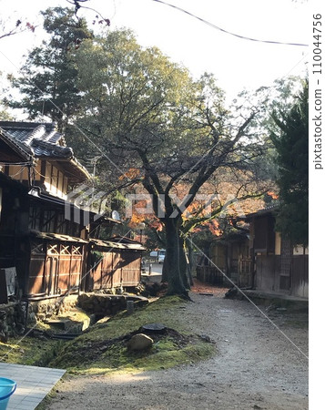 Autumn Nara Park Houses Autumn Nara Park Houses 110044756