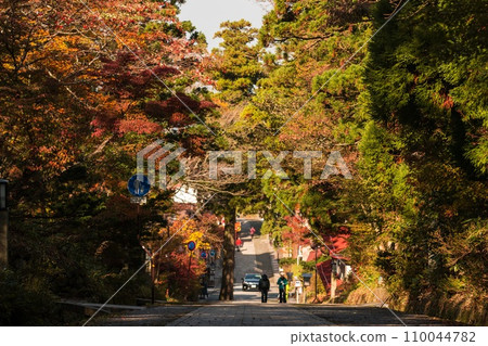 person walking in autumn leaves 110044782