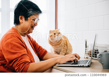 A woman works on her laptop at her desk in the morning, with her elderly cat looking on. Their friendship and togetherness create a heartwarming atmosphere of relaxation and productivity. pet love 110044969