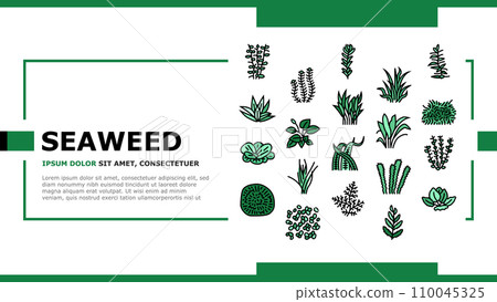 Aquatic Seaweed Natural Plant landing header vector 110045325