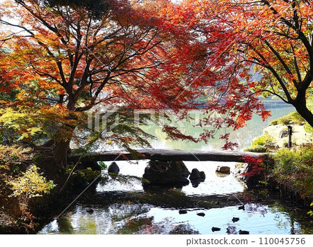 美麗的秋天公園風景 美麗的秋天公園風景 110045756
