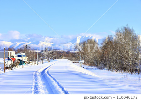 河床在一個陽光明媚的冬日,有雪 河床在一個陽光明媚的冬日,有雪 110046172