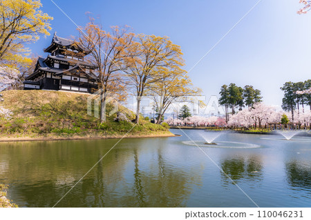 【新潟縣】櫻花盛開，春天的高田城跡公園 110046231