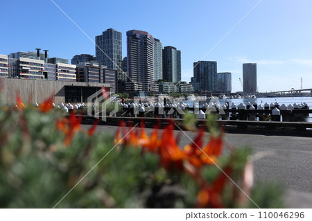 藍天 城市景觀 110046296