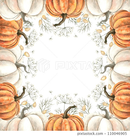 Watercolor frame with white and orange pumpkin, seeds and dill. Hand-drawn, on a white background. It can be used in graphic and printing design, fabric, paper, posters, menus, booklets, postcards. 110046905