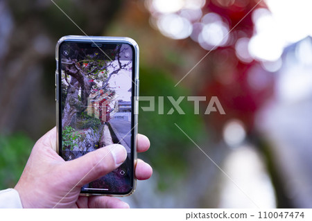 智慧型手機可以拍攝累積在排水溝中的秋葉照片 智慧型手機可以拍攝累積在排水溝中的秋葉照片 110047474