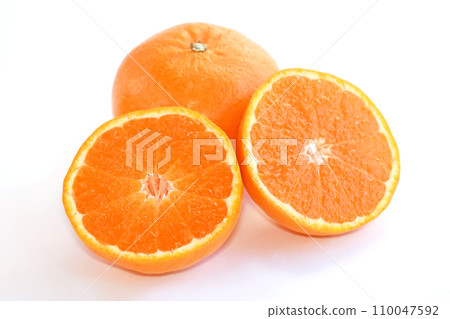 柑橘類水果（晴姬） 110047592