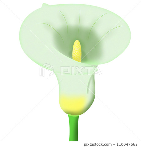 green hairdryer on a white background 110047662