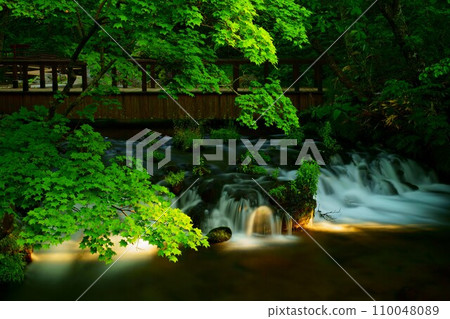 清晨的陽光照耀著新鮮的綠色植物和瀑布 110048089