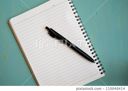 pen on plain notebook 110048414