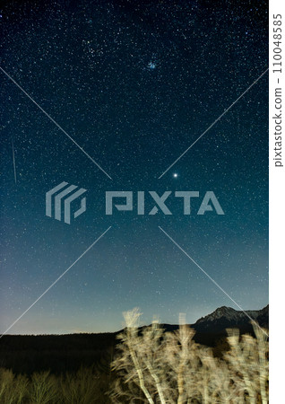 Geminid meteor shower falls on Yatsugatake Plateau 110048585