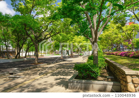 Fresh green East Amusement Park/Flower Road in Chuo Ward, Kobe City Fresh green East Amusement Park/Flower Road in Chuo Ward, Kobe City 110048936