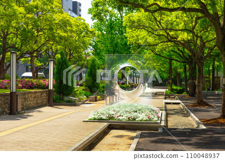 Fresh green East Amusement Park/Flower Road in Chuo Ward, Kobe City 110048937