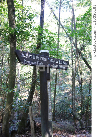 Trail Trail 110050193