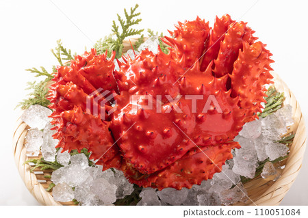 來自北海道的花崎蟹 110051084