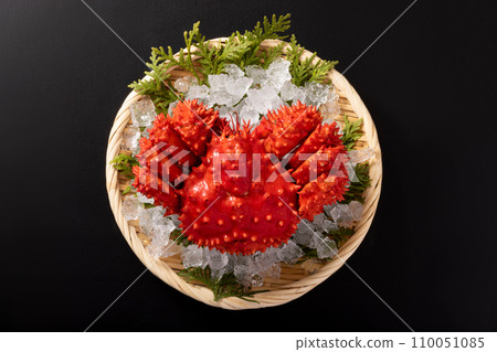 來自北海道的花崎蟹 110051085