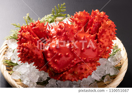 來自北海道的花崎蟹 110051087