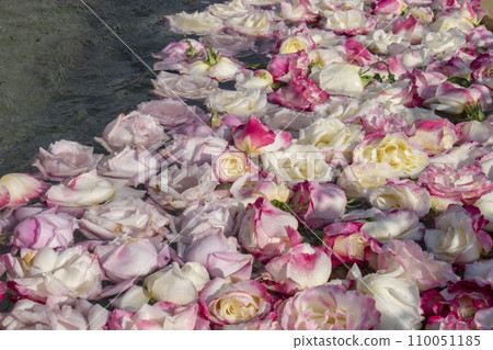 Rose flower wash water Rose flower wash water 110051185