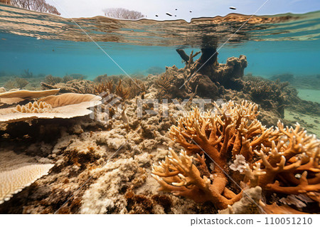 Vanishing Underwater Oasis 110051210