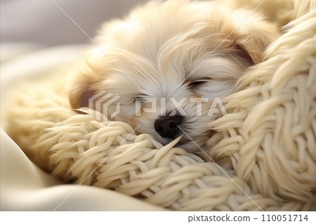AI-generated content. Serene Aerial View of Adorable Puppy Sleeping Peacefully Under a Cozy Blanket on a Comfy Bed AI-generated content. Serene Aerial View of Adorable Puppy Sleeping Peacefully Under a Cozy Blanket on a Comfy Bed 110051714