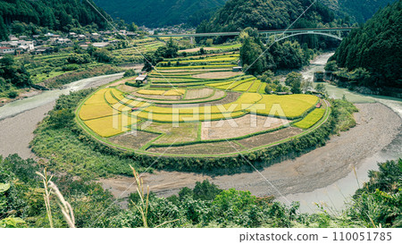 新城島有田川町 110051785