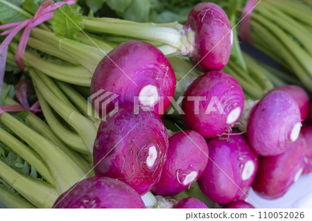 Gokayama red turnip Gokayama red turnip 110052026