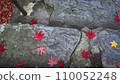 Maple stone steps 110052248