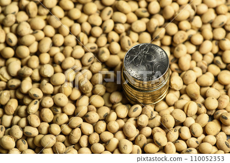 Dollars banknotes and coins and soy beans, commoditi value concept. 110052353